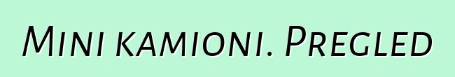 Mini kamioni. Pregled