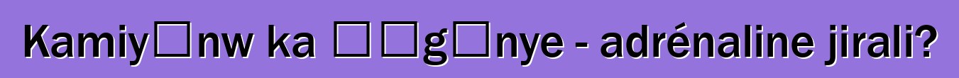 Kamiyɔnw ka ɲɔgɔnye - adrénaline jirali?