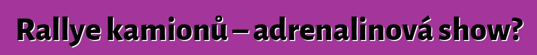 Rallye kamionů – adrenalinová show?