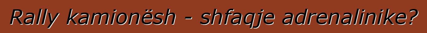 Rally kamionësh - shfaqje adrenalinike?