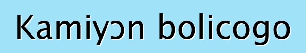 Kamiyɔn bolicogo