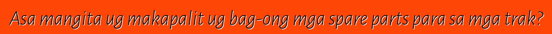 Asa mangita ug makapalit ug bag-ong mga spare parts para sa mga trak?