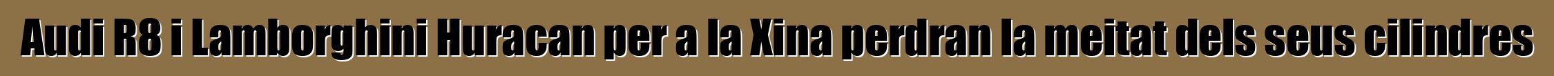 Audi R8 i Lamborghini Huracan per a la Xina perdran la meitat dels seus cilindres