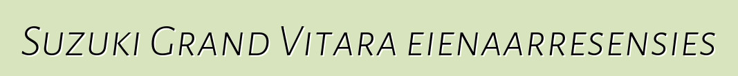 Suzuki Grand Vitara eienaarresensies