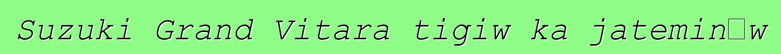 Suzuki Grand Vitara tigiw ka jateminɛw