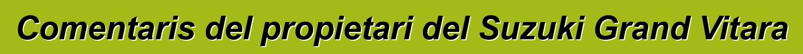 Comentaris del propietari del Suzuki Grand Vitara