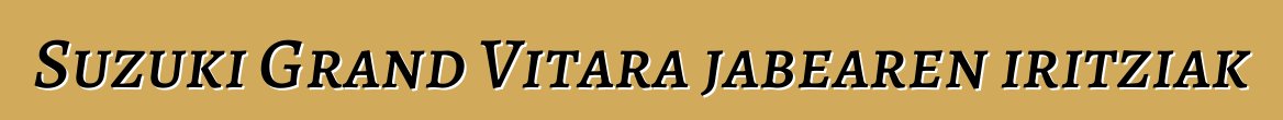 Suzuki Grand Vitara jabearen iritziak