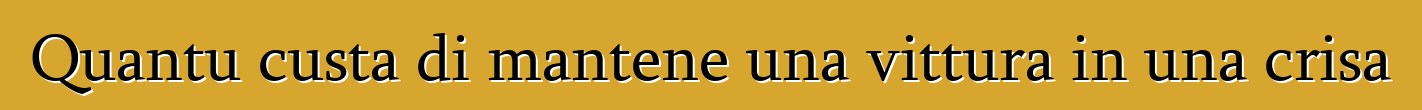 Quantu custa di mantene una vittura in una crisa