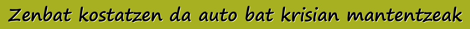 Zenbat kostatzen da auto bat krisian mantentzeak