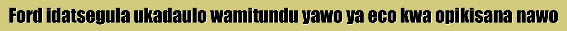 Ford idatsegula ukadaulo wamitundu yawo ya eco kwa opikisana nawo