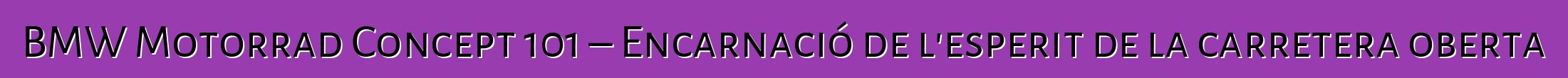 BMW Motorrad Concept 101 – Encarnació de l'esperit de la carretera oberta