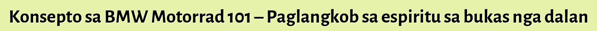 Konsepto sa BMW Motorrad 101 – Paglangkob sa espiritu sa bukas nga dalan