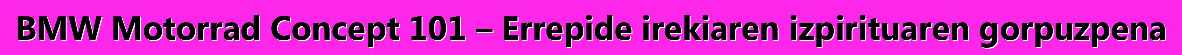 BMW Motorrad Concept 101 – Errepide irekiaren izpirituaren gorpuzpena