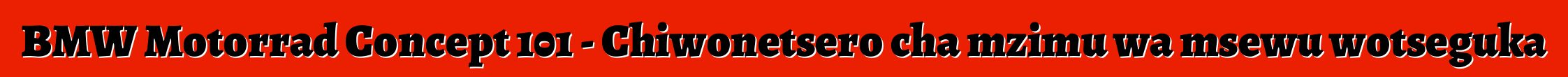 BMW Motorrad Concept 101 - Chiwonetsero cha mzimu wa msewu wotseguka