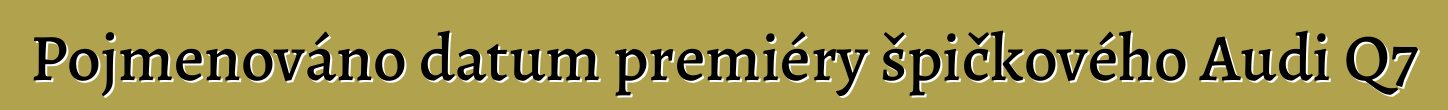 Pojmenováno datum premiéry špičkového Audi Q7