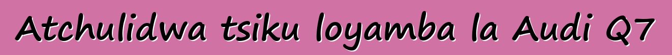 Atchulidwa tsiku loyamba la Audi Q7