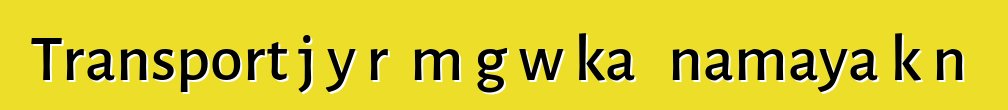 Transport jɔyɔrɔ mɔgɔw ka ɲɛnamaya kɔnɔ