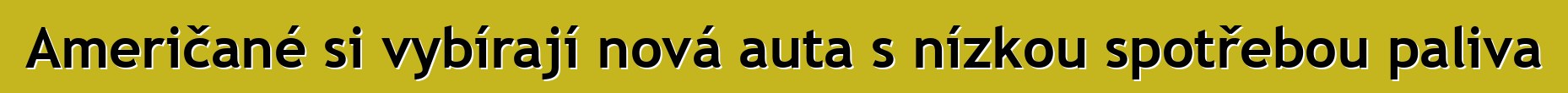 Američané si vybírají nová auta s nízkou spotřebou paliva