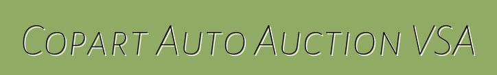 Copart Auto Auction VSA