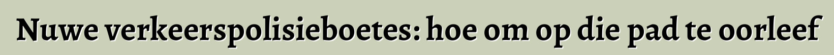Nuwe verkeerspolisieboetes: hoe om op die pad te oorleef