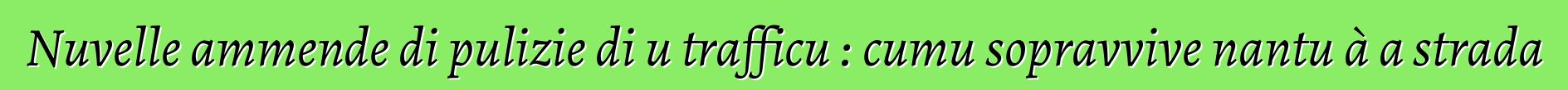 Nuvelle ammende di pulizie di u trafficu : cumu sopravvive nantu à a strada