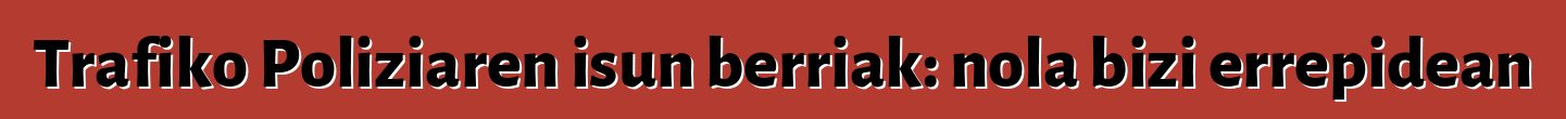Trafiko Poliziaren isun berriak: nola bizi errepidean
