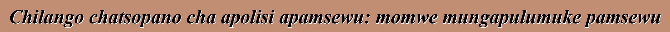 Chilango chatsopano cha apolisi apamsewu: momwe mungapulumuke pamsewu