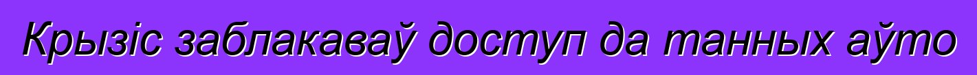 Крызіс заблакаваў доступ да танных аўто