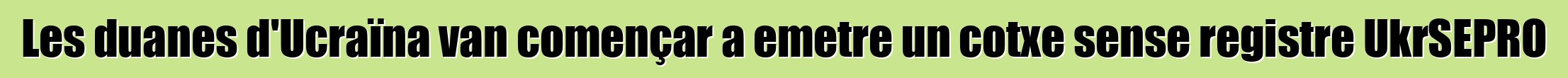 Les duanes d'Ucraïna van començar a emetre un cotxe sense registre UkrSEPRO