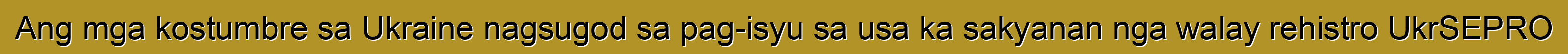 Ang mga kostumbre sa Ukraine nagsugod sa pag-isyu sa usa ka sakyanan nga walay rehistro UkrSEPRO
