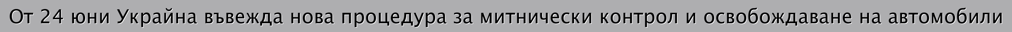 От 24 юни Украйна въвежда нова процедура за митнически контрол и освобождаване на автомобили