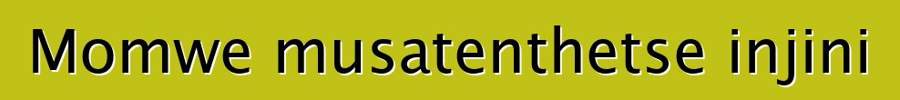 Momwe musatenthetse injini