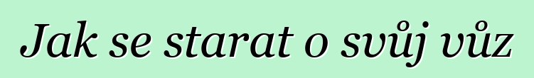 Jak se starat o svůj vůz