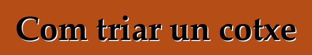 Com triar un cotxe