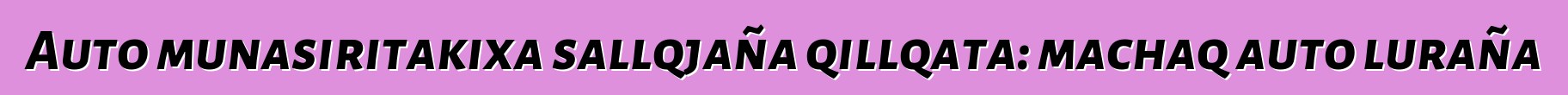 Auto munasiritakixa sallqjaña qillqata: machaq auto luraña