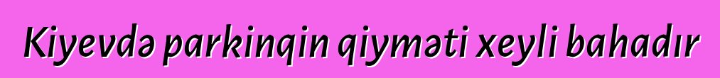 Kiyevdə parkinqin qiyməti xeyli bahadır