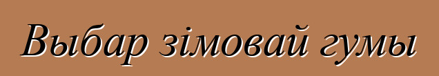 Выбар зімовай гумы
