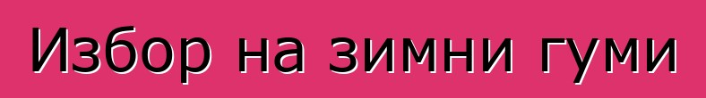 Избор на зимни гуми