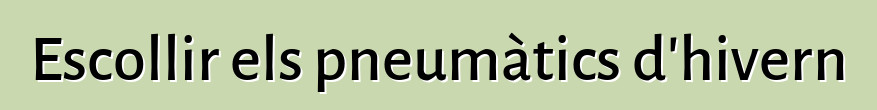 Escollir els pneumàtics d'hivern
