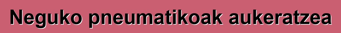Neguko pneumatikoak aukeratzea