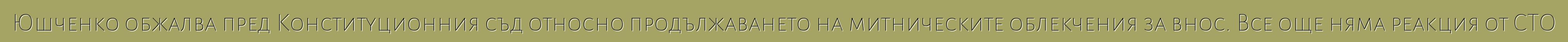 Юшченко обжалва пред Конституционния съд относно продължаването на митническите облекчения за внос. Все още няма реакция от СТО