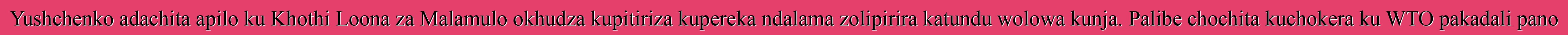 Yushchenko adachita apilo ku Khothi Loona za Malamulo okhudza kupitiriza kupereka ndalama zolipirira katundu wolowa kunja. Palibe chochita kuchokera ku WTO pakadali pano