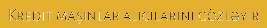 Kredit maşınlar alıcılarını gözləyir