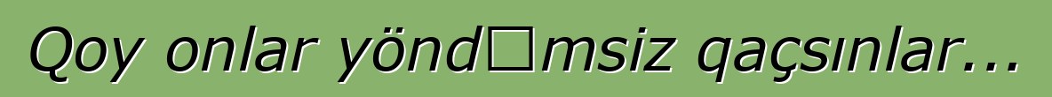 Qoy onlar yöndəmsiz qaçsınlar...
