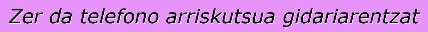 Zer da telefono arriskutsua gidariarentzat
