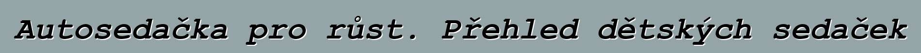 Autosedačka pro růst. Přehled dětských sedaček