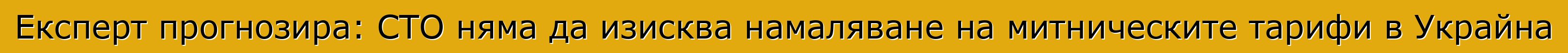 Експерт прогнозира: СТО няма да изисква намаляване на митническите тарифи в Украйна