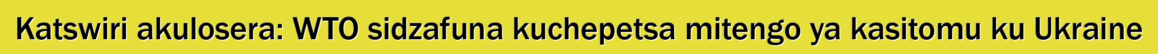 Katswiri akulosera: WTO sidzafuna kuchepetsa mitengo ya kasitomu ku Ukraine