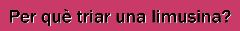 Per què triar una limusina?
