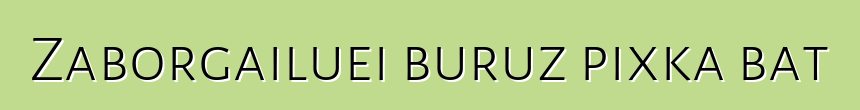 Zaborgailuei buruz pixka bat